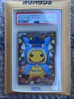 ギャラドスごっこピカチュウのサムネイル