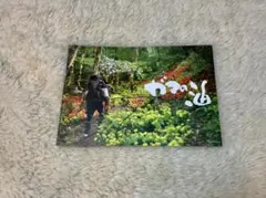 2025年最新】役所広司サインの人気アイテム - メルカリ