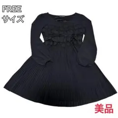 黒のフリルプリーツワンピース FREEサイズ　美品　ゴスロリ　春　春服