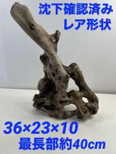 W79沈下確認済み アク抜き済み流木 アクアリウム 爬虫類シェルターのサムネイル
