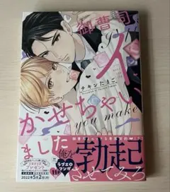 御曹司、イかせちゃいました