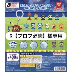 r【プロフ必読】様専用