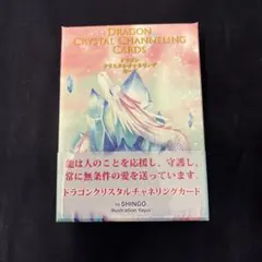 スピリフェス 初回開催 御朱印 ファイル セット レア SHINGO スピリフェス 初回開催 御朱印 ファイル セット レア SHINGO - メルカリ