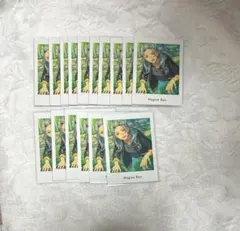 2026年最新】乱凪砂 ぱしゃっつ privateの人気アイテム - メルカリ