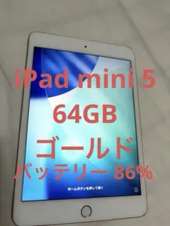 完動品iPad mini5(A2133)本体64GBゴールド送料込DLM95 - メルカリ