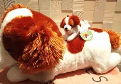 コーイケルホンディエのおでこちゃん おすわり ST.VMC 大谷翔平 コーイケルホンディエのおでこちゃん おすわり VMCコンプリート 大谷