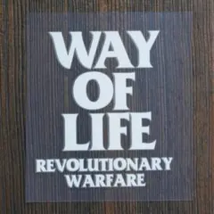 2026年最新】rats ヘルメットの人気アイテム - メルカリ