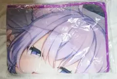 Item thumbnail for item ac790d46-8413-4a51-be30-73b970548bac