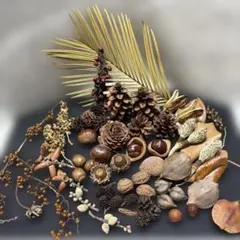A-30自然素材　木の実25種盛り　ディスプレイ　インテリア
