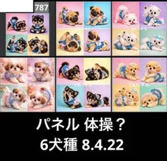オーダーページ パネル 体操？ 6犬種 8.4.22