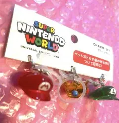 USJ限定 スーパーマリオ☆めじるしチャーム ニンテンドー