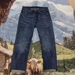 ヒゲハチノスありLevi’s501