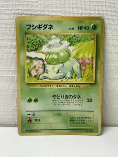 【希少】ポケモンカード 旧裏　フシギダネ　マーク無し