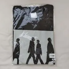 ミスチル　ロングスリーブ　ロンT Mサイズ 新品