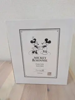 ミッキー＆ミニー プッシュタイプごみ箱