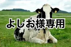 グラブレース　タン濃　180cm×5