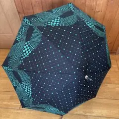 Item thumbnail for item 57a2c26a-612c-4450-a397-baea0e6e2529