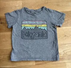 Patagonia パタゴニア キッズTシャツ 4T（100cm相当） グレーのサムネイル