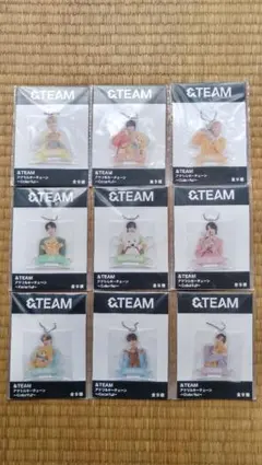 &TEAM アクリルキーチェーン Colorful 全９種セット 匿名配送