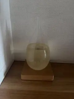 Perrocaliente ペロカリエンテ　Tempo Drop