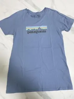 patagonia オーガニックコットン Tシャツ XS