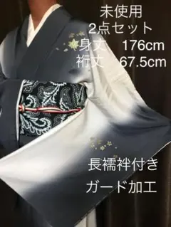 訪問着　正絹　金駒刺繍　トールサイズ　丹後ちりめん　未使用