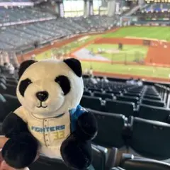日本ハムファイターズ ぬいぐるみ 進藤勇也33