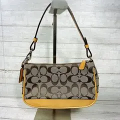 COACH アクセサリーポーチ シグネチャー キャンバス レザー ベージュ