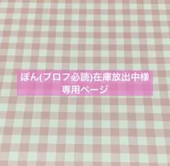 ✧︎*。ぽん(プロフ必読)在庫放出中様 専用ページ✧︎*。4/11