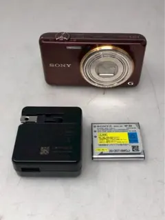 SONY DSC-WX100 コンパクトデジタルカメラ