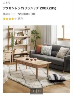 ニトリ アクセントラグ 200×285 高級感 もこもこ カーペット 3.6帖