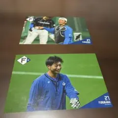 北海道日本ハムファイターズ　古川裕大選手　写真２枚