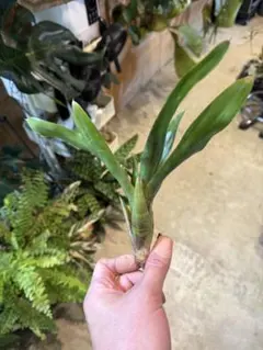 クーパー69様 リクエスト 2点 まとめ商品 商品の説明欄をご覧ください！