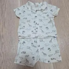 プティマイン　セットアップ