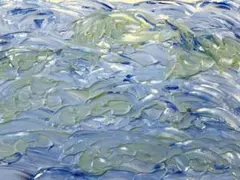 青い水彩画 みちみち 2026年 青い水彩画 みちみち 2026年 - メルカリ