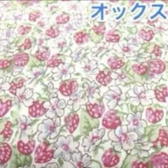 シーチング生地 3m