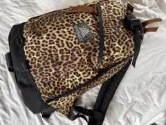☆一週間限定価格☆新品同様☆GREGORY☆トゥルーレオパードヒョウ柄 