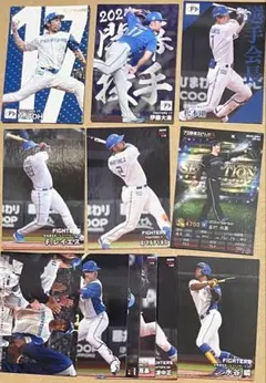 プロ野球チップスカード ファイターズ 2025年～2024年 12枚