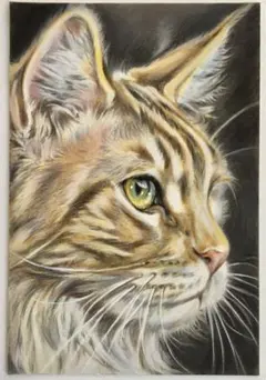 パステル画 原画】シャム猫 - メルカリ