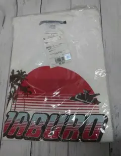 Item thumbnail for item dfc4ff28-af0f-46c2-ba08-56a36c075661