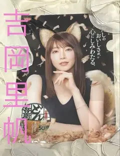 日清どん兵衛❤️吉岡里帆 どんぎつね⭐️クリアファイル 非売品 新品