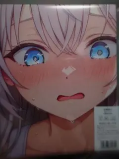 未開封　バスタオル　ロシデレ　アーリャ