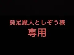 鈍足魔人としぞう様 リクエスト 3点 まとめ商品
