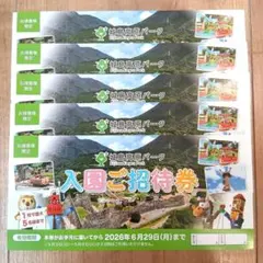 城島高原パーク 入園ご招待券 5枚セット 優待券 期限 R8.6.29のサムネイル