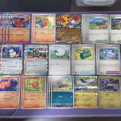 パートナーズ各種