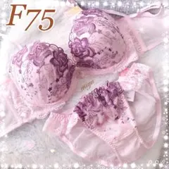 2025年最新】サルート f75 f75の人気アイテム - メルカリ