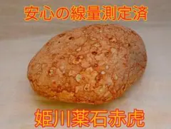 2026年最新】姫川 赤虎の人気アイテム - メルカリ