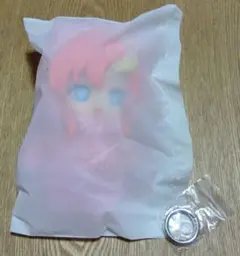 【機動戦士ガンダムSEED DESTINY】SofuNui