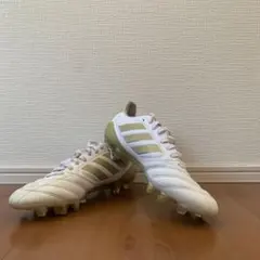 コパアイコン2
