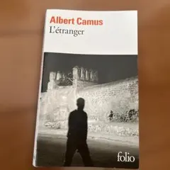 フランス語 洋書